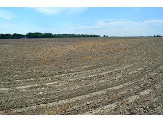 Property photo 46 - FARM & LAND AUCTION - 125+/- ACRES OFFERED IN 5 TRACTS IN EAST ALLEN COUNTY, INDIANA